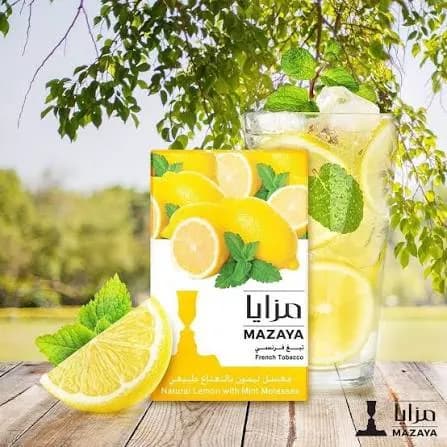 Mazaya shisha photo