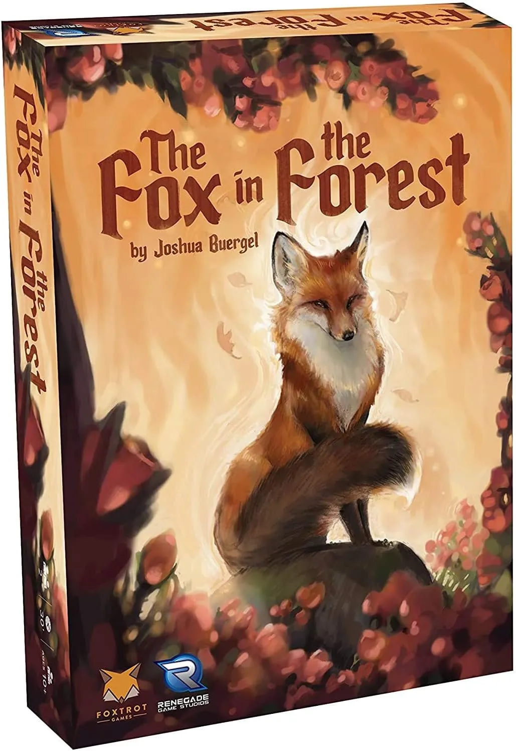fox in the forest